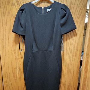 Calvin Klein Sheath Dress Size 6